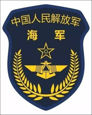 某设计师对军种标志的见解