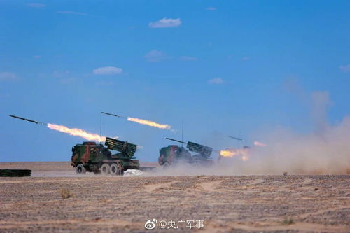 酷 多图直击陆军某旅实射训练