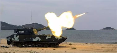 图解15式陆军胸标 揭秘设计元素背后的霸气装备